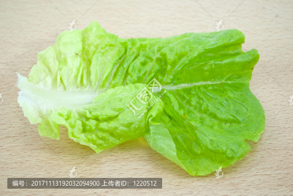 食物