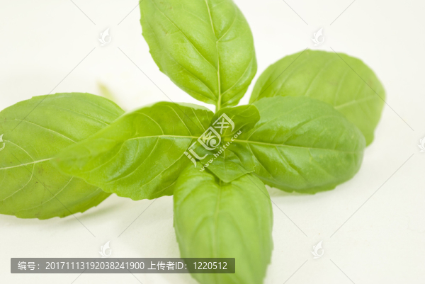 食物