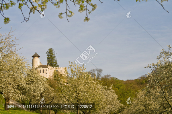 Schloss,birseck