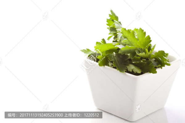 食物