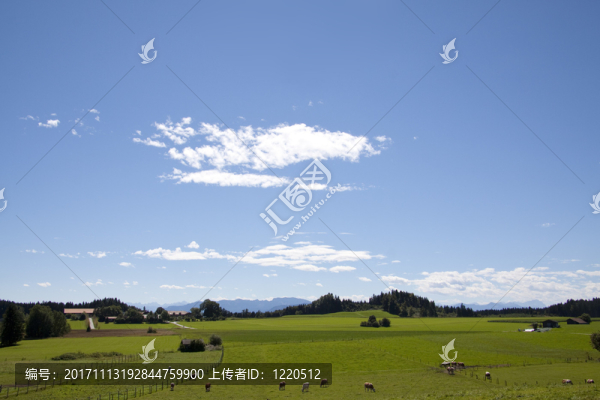 發(fā)出光