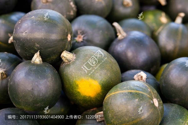 南瓜rondini
