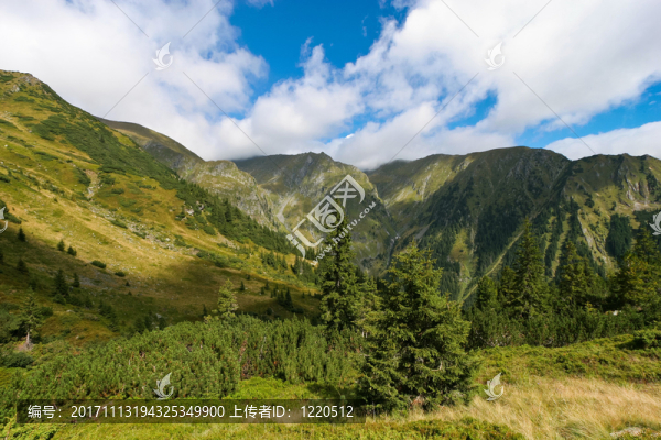 藍(lán)色