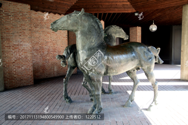 美國康復(fù)療法協(xié)會(huì)