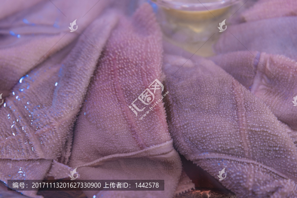 血毛肚