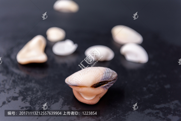 貝殼