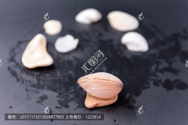 貝殼