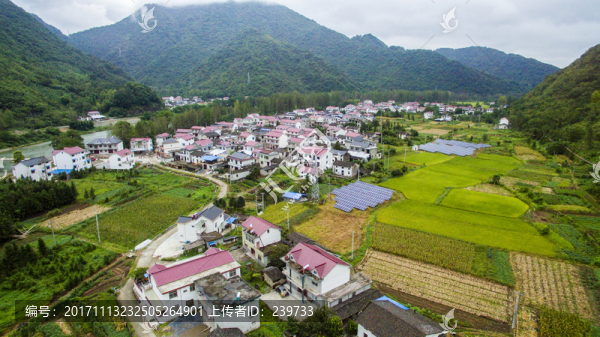 美麗鄉(xiāng)村