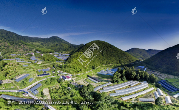 高山蔬菜