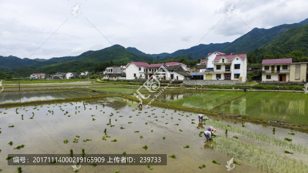 田園風(fēng)光