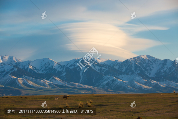 草原雪山
