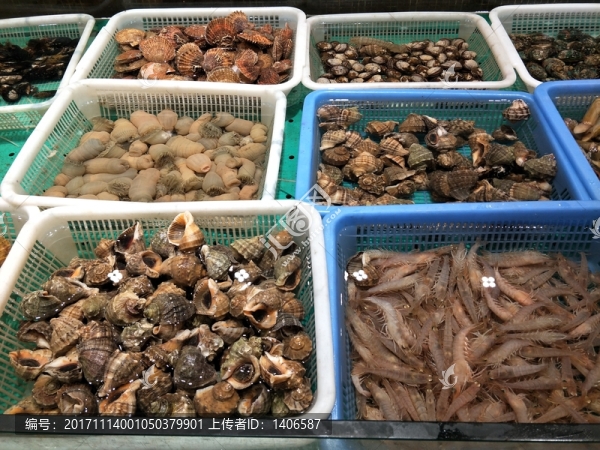 海螺,扇貝,蝦,海鮮