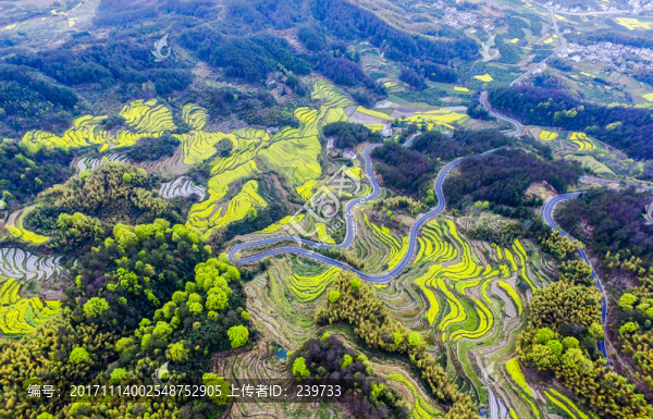航拍徽州梯田風(fēng)光