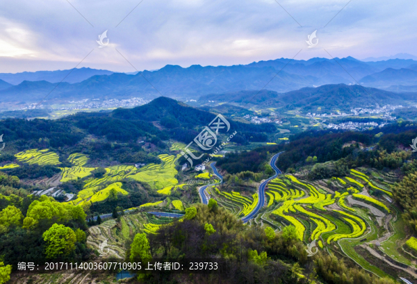 航拍徽州梯田風(fēng)光