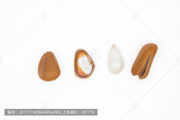 松子素材,高清大圖