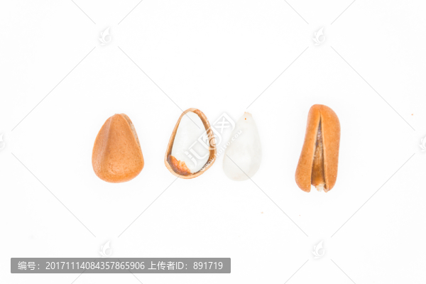 松子素材,高清大圖