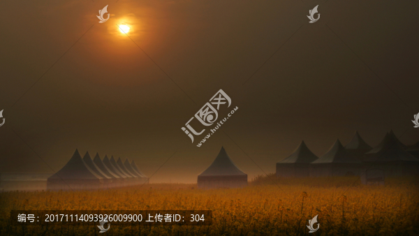 油菜花