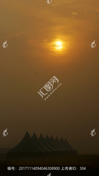 油菜花