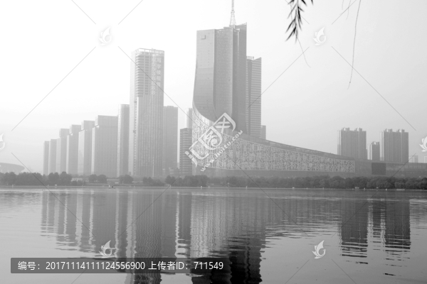 合肥天鵝湖廣電中心黑白照