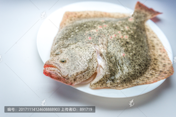 多寶魚(yú)高清
