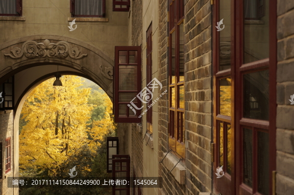 武漢大學,秋,高清,攝影