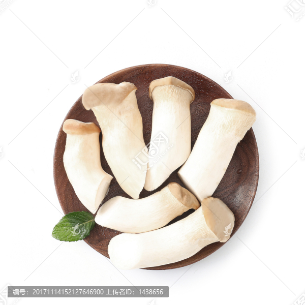 雞腿菇