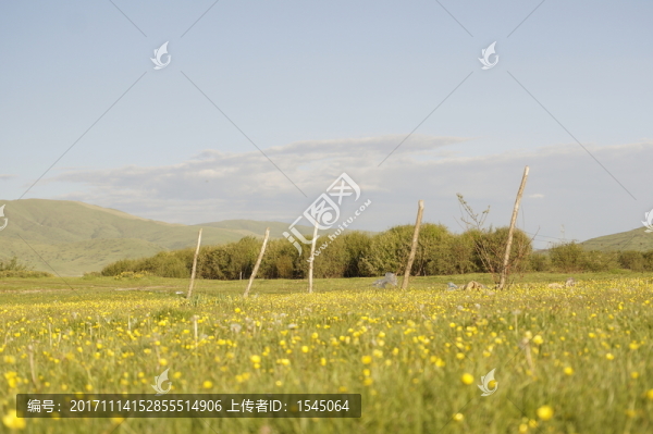 草原風光,若爾蓋,紅原
