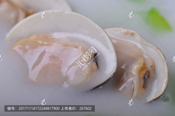 花甲
