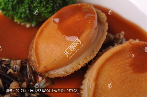 鮑魚