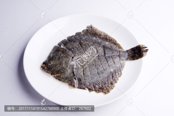 多寶魚(yú)
