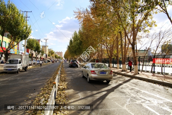 城市,街道,林蔭道,馬路,天空