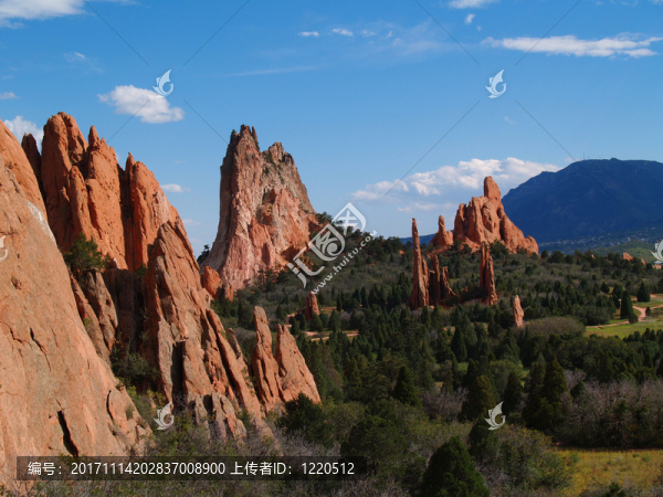 山