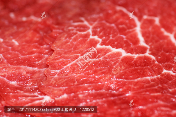 食物
