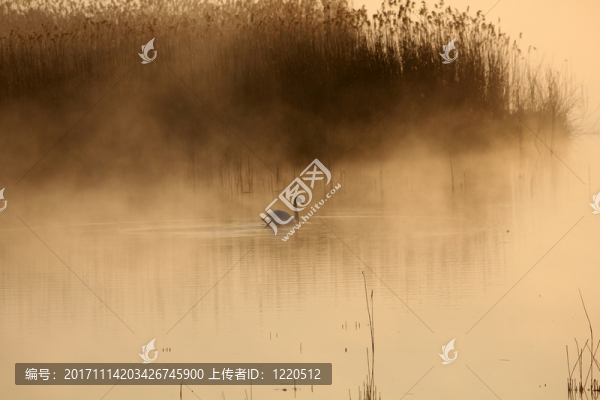 早上
