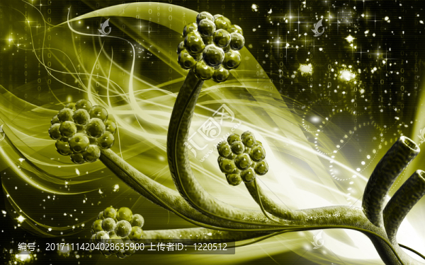 教育