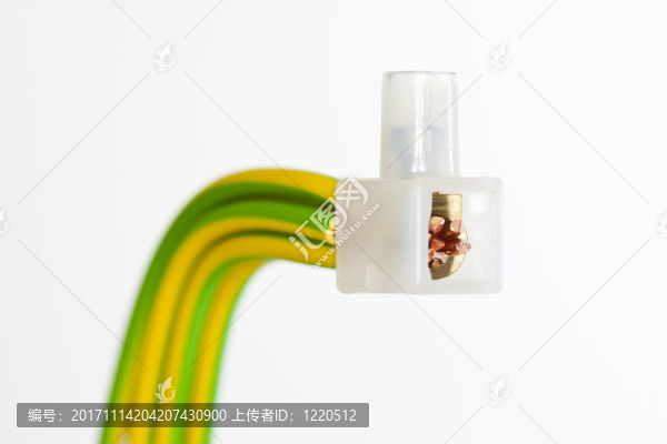 女終端