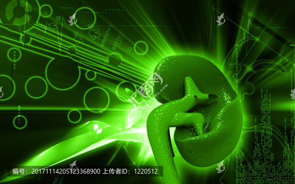 物體