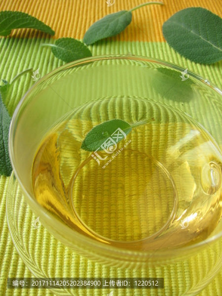 salbeitee