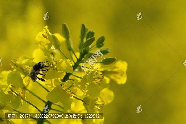 航空醫(yī)學抽空控制指揮官