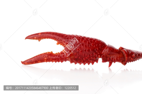 蟹