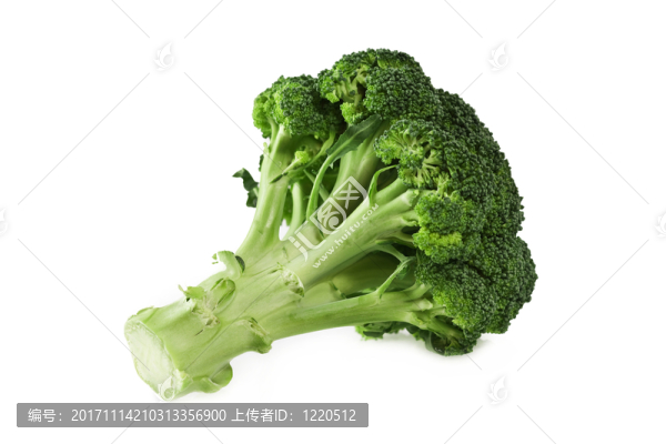 食物