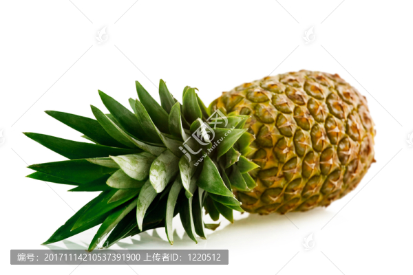 隔離的
