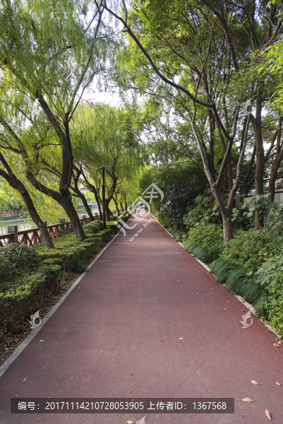 市民健身跑道
