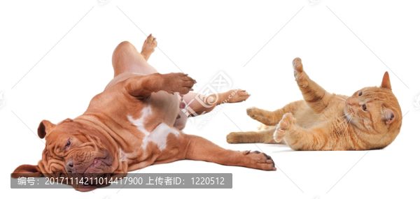 友情