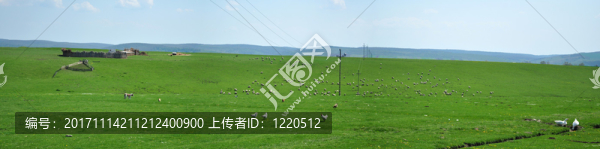 動(dòng)物