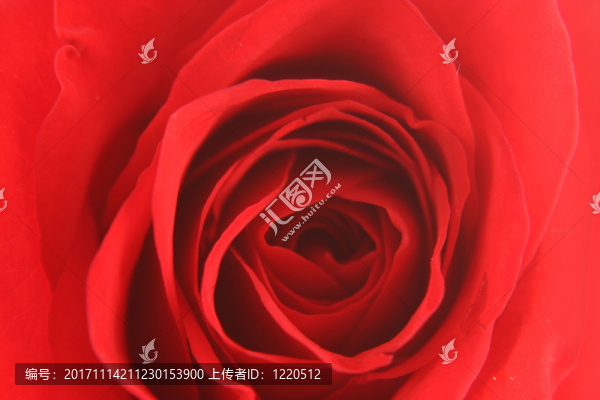 花園