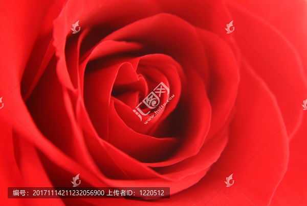 花園