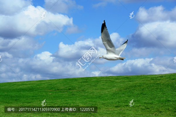 藍色