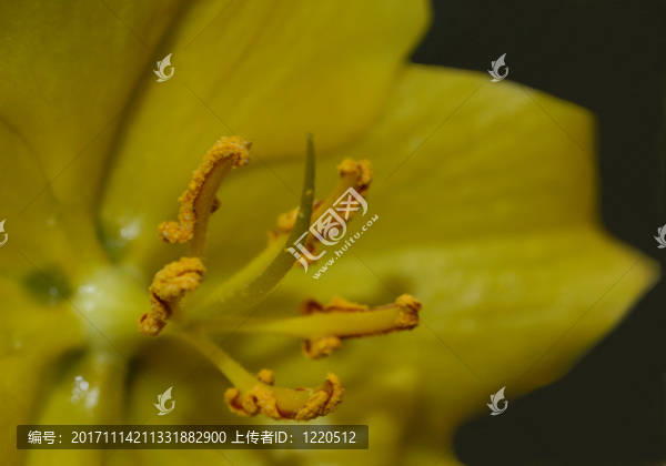 花