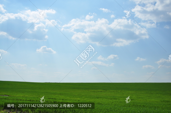 田